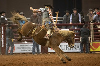 1187283519